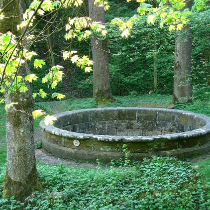 Aubachquelle im Kulmbacher Land